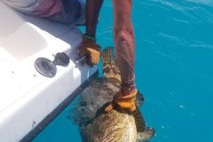 20190605_132415-rotated