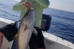 IMG_20190304_204048_7661-scaled