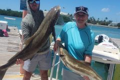 IMG_20220405_221934_906-scaled